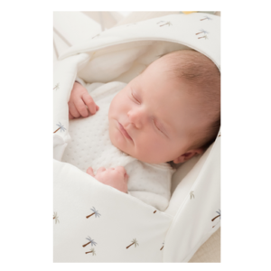 Cocon maison T1 - L'indispensable - T1, Tropical - Jersey